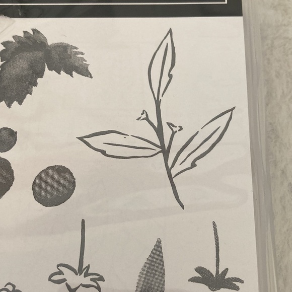 Stampin’ Up Berry Blessing Stamp Set - Picture 5 of 9